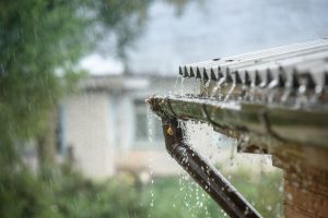 Período chuvoso aumenta criadouros de Aedes aegypti